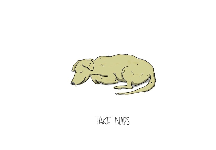 Seven Illustrated Lessons We Can All Learn From a Dog