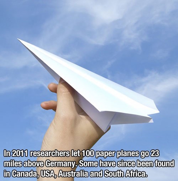 Paper Planes 