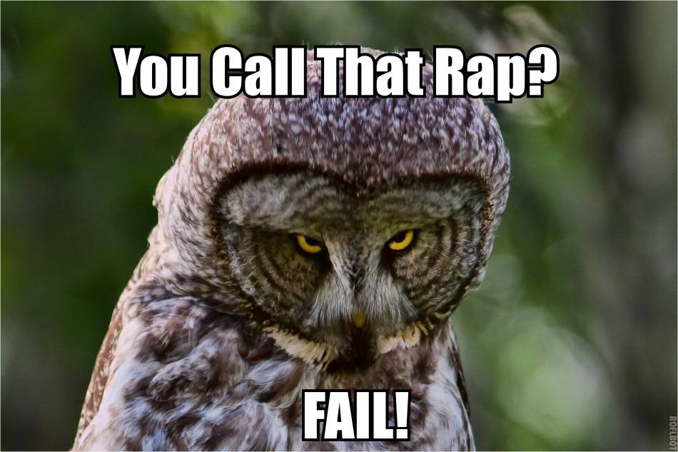 Hilariously Adorable Owl Memes.