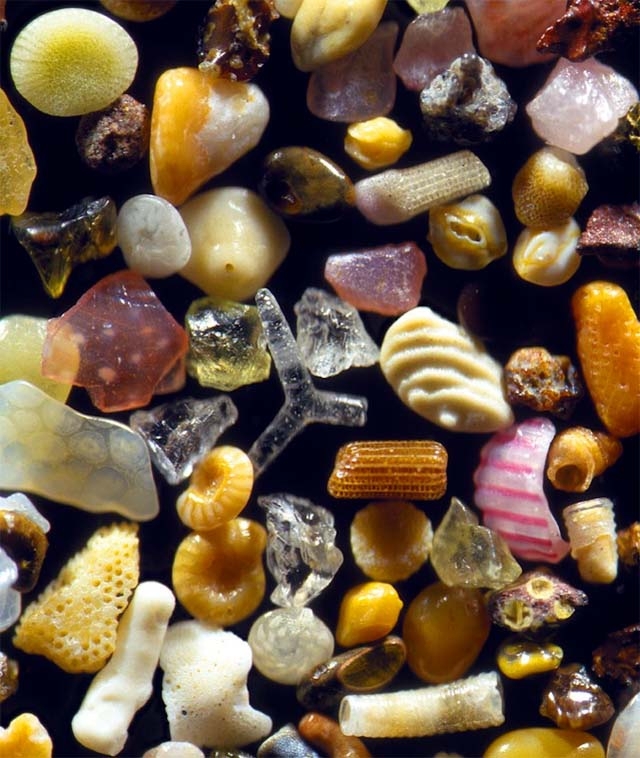 10 Incredible, Magnified Images That Will Blow Your Mind!