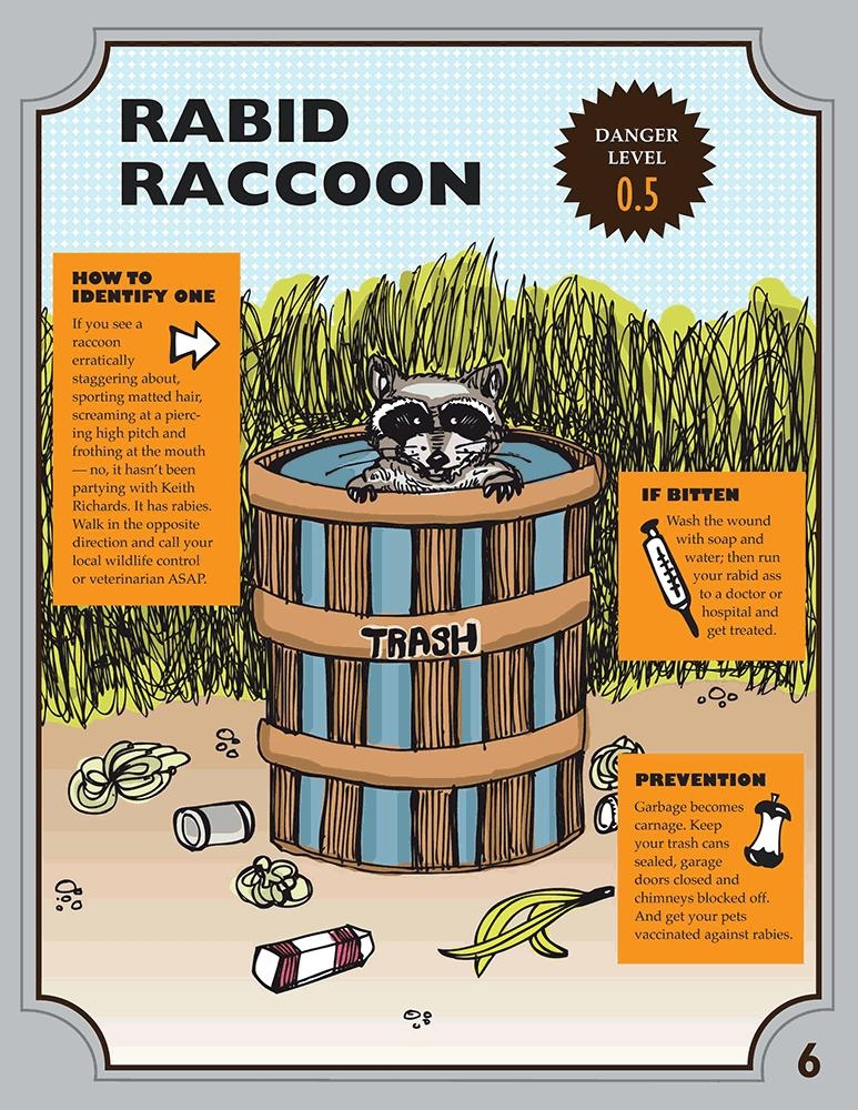 Rabid raccoon