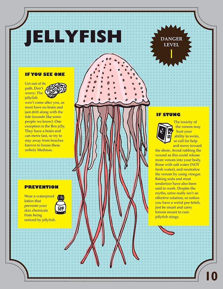 Jellyfish