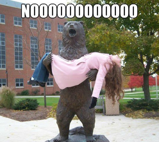 Bear, NOOO 