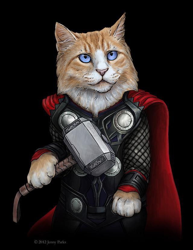 Thor Cat