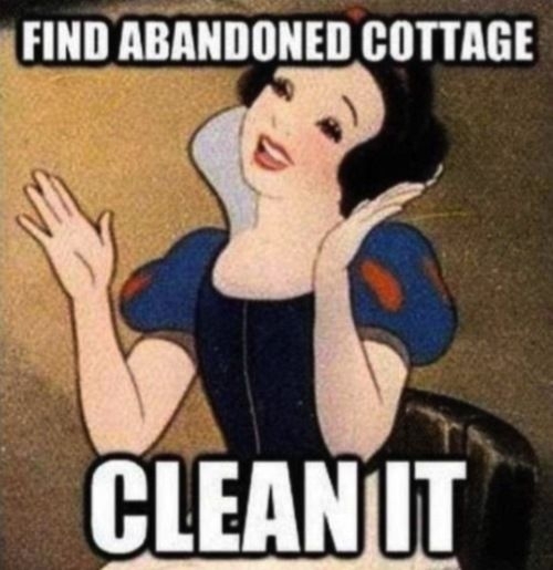 find abandoned cottage, clean it