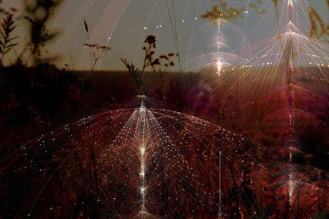 Digital Cobwebs Magnificently Beautify Nature