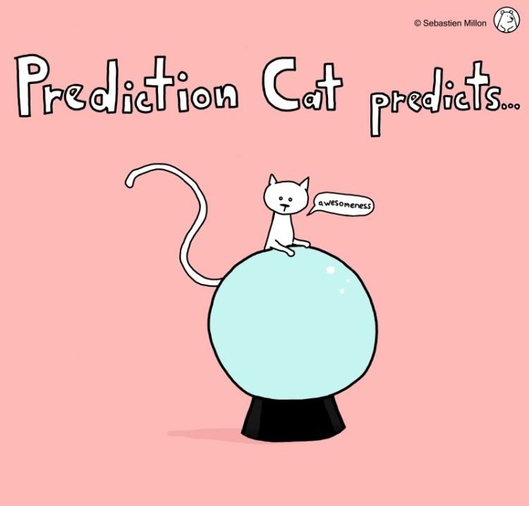 prediction cat