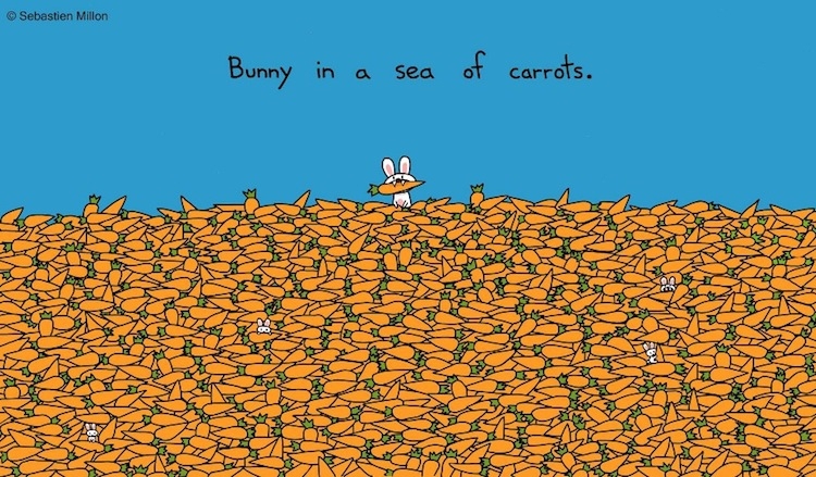 bunny in a sea of carrots