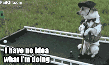 Dogs Saying 'I Have No Idea What I'm Doing'