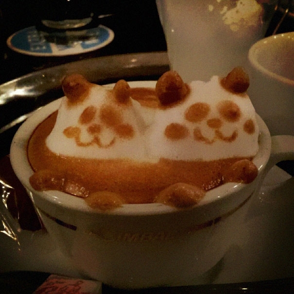 Latte pandas