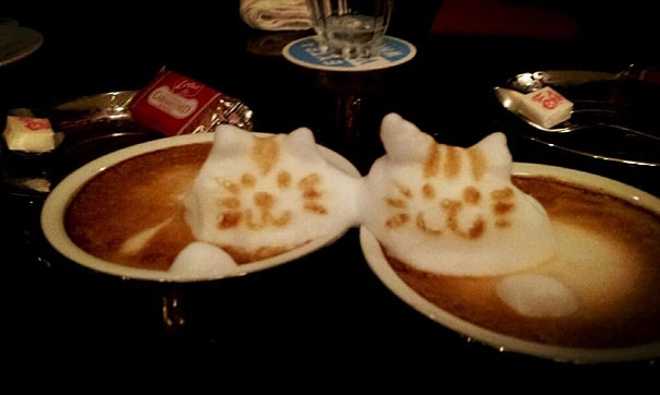 Coffeefoam kittens