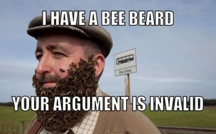 I have a bee beard