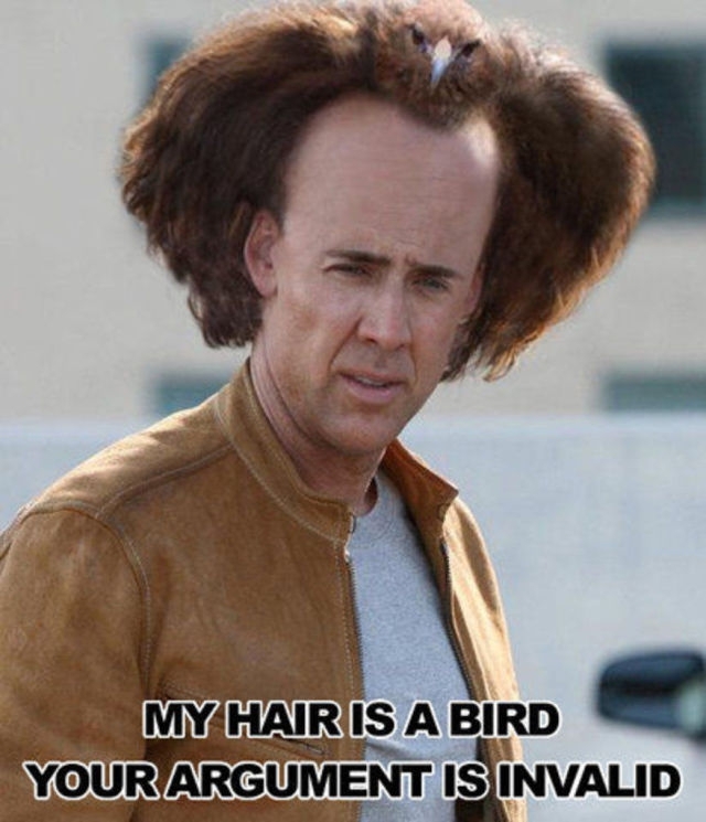 My hair is a bird