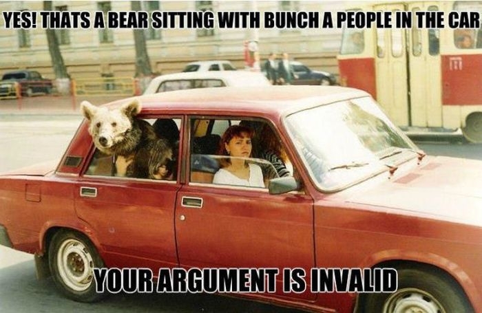 Yes! That's a bear sitting with bunch of people in the car