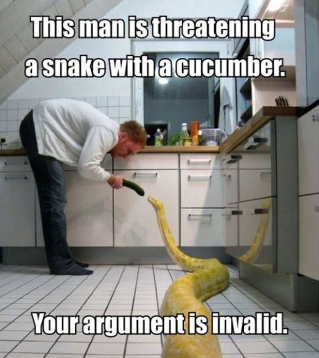 This man is threatening a snake with a cucumber