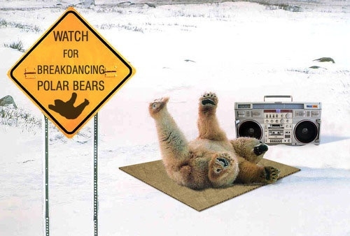 Break Dancing Polar Bear 