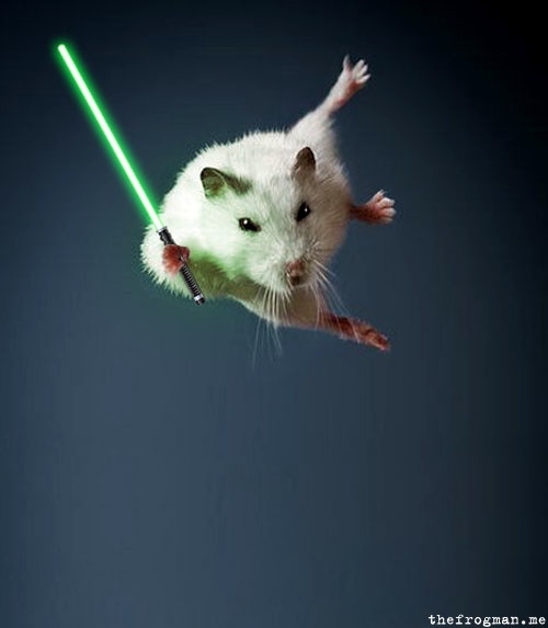 Star Wars Rat 