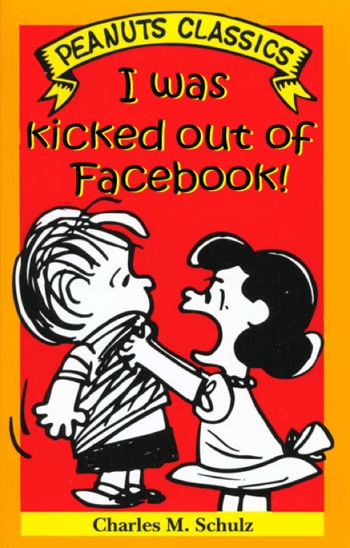 I was kicked out of Facebook*!