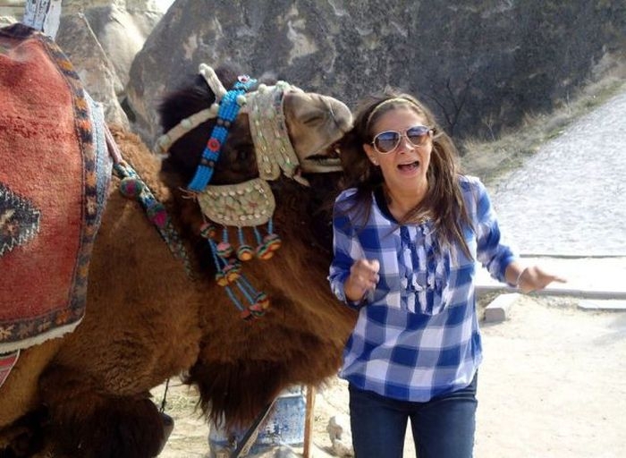 biting camel
