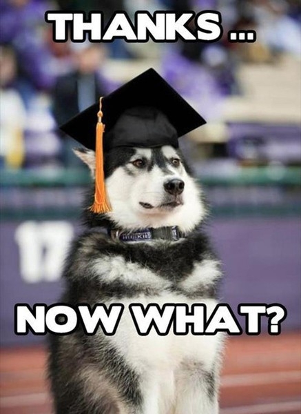 Graduation Dog 