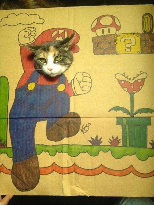 Mario cat