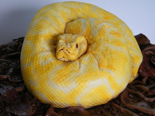 2. Snake Cake