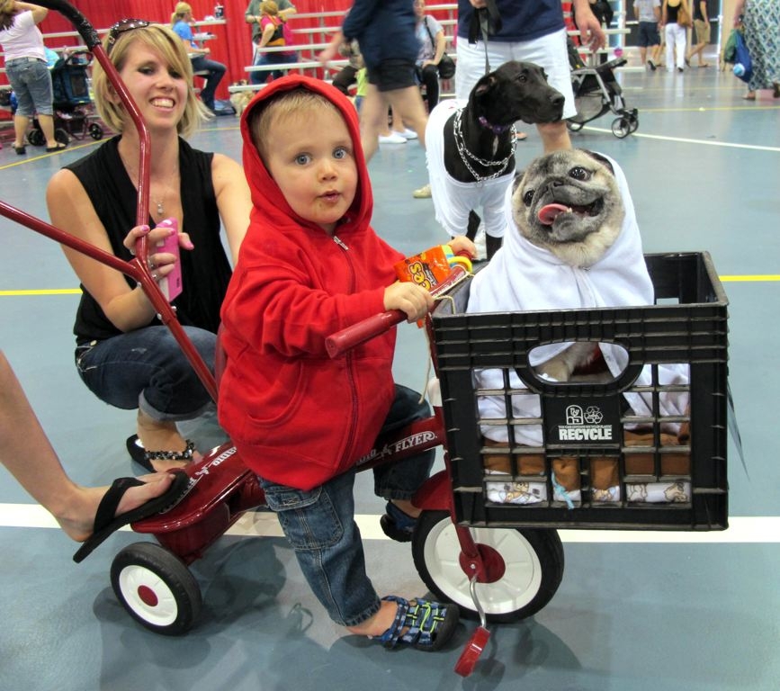 Lucas Purdy, 1, and Peke the pug won first place in one of the costume contests