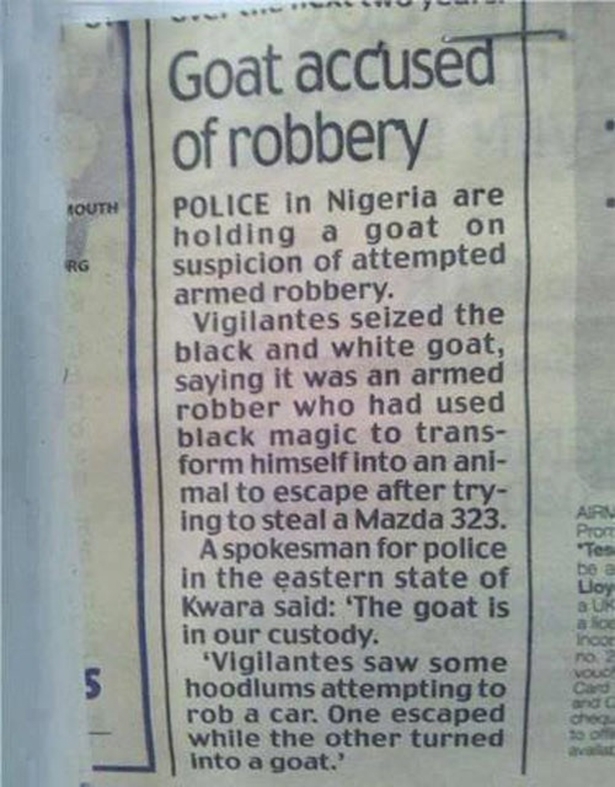 Goat Robbery 