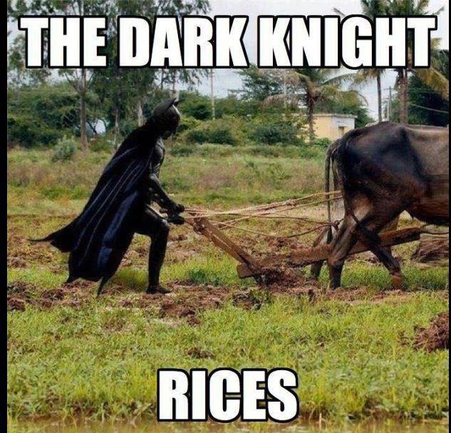 The Dark Knight 