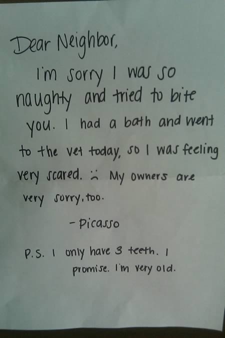 10 Ridiculous, Stupid And Funny Apology Notes.