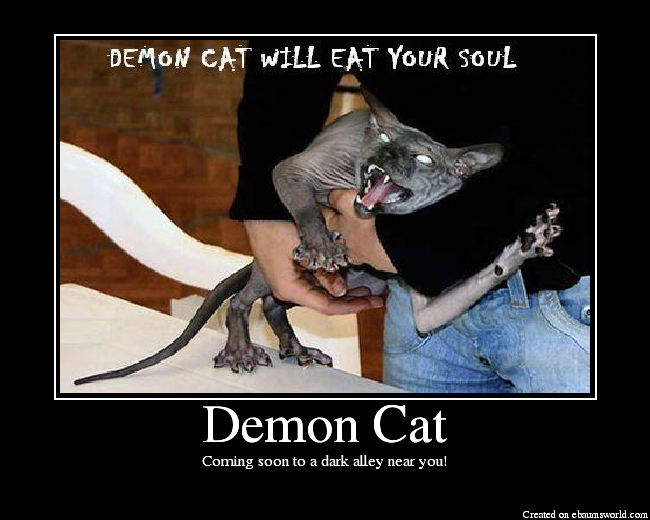 Demon Cats Won't Let You Sleep.