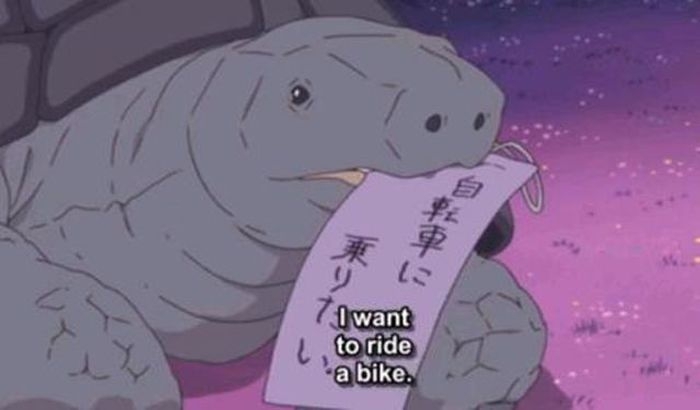 i want to ride a bike.