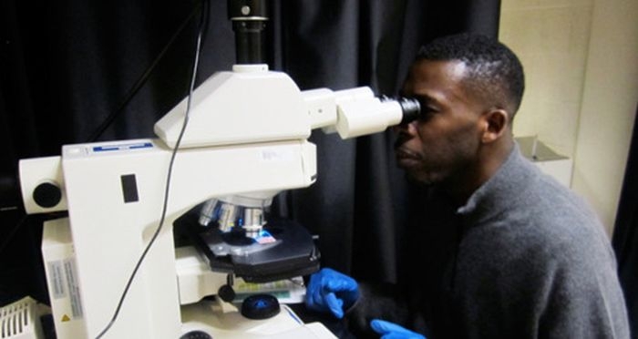 GZA using a microscope on what looks like low power: