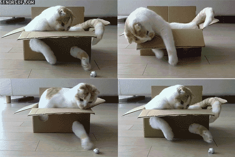 Playing with a box