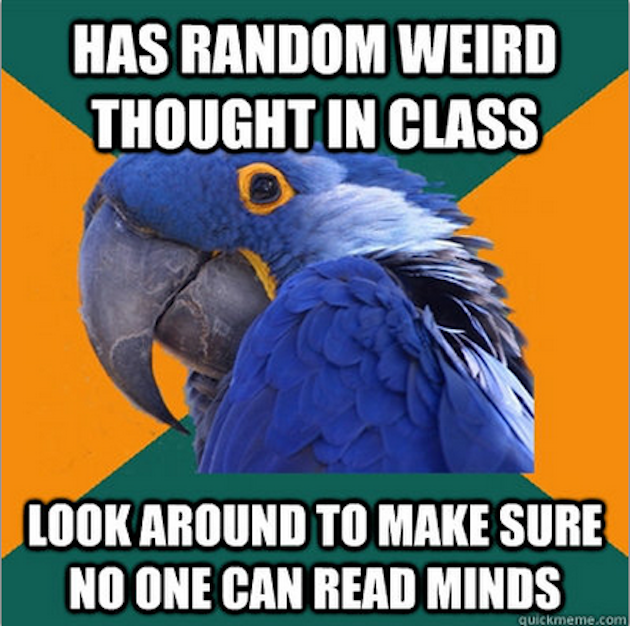 The Funniest Paranoid Parrot Memes