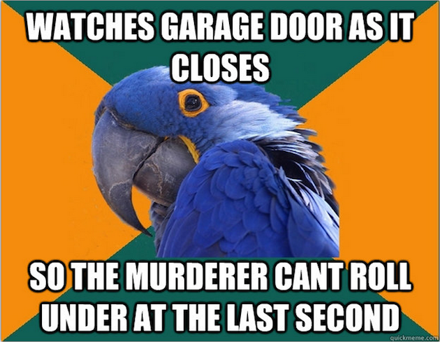 The Funniest Paranoid Parrot Memes