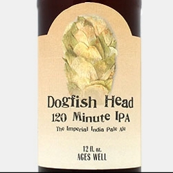 Dogfish Head 120 Minute IPA