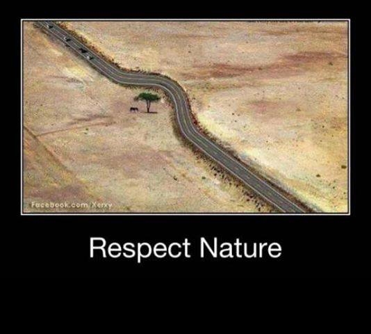 Respect nature 