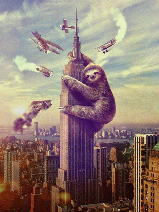Sloth Attack 