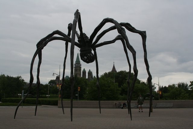 11. The Spider that Ate Parliament, Ontario, Canada