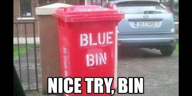 Nice Try, Bin! 