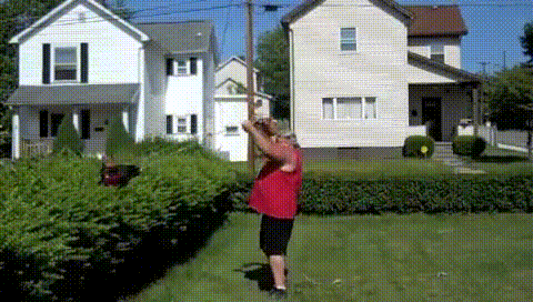 Gif's Of People (and Animals) You Wish You Were Friends With