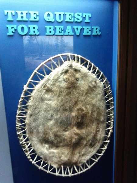 Quest For Beaver 