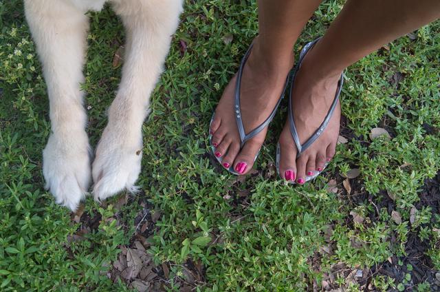 Feet and Paws