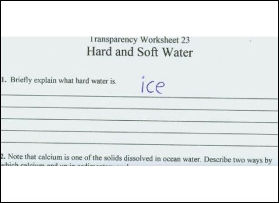 Inappropriately Funny Test Answers!