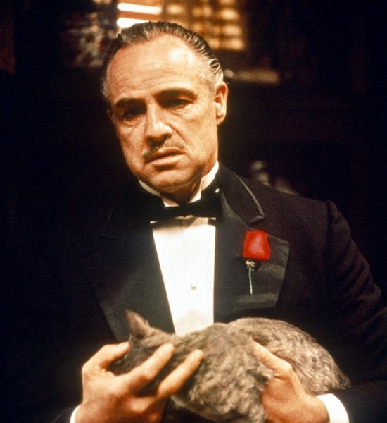 "I'll make him an offer he can't refuse."