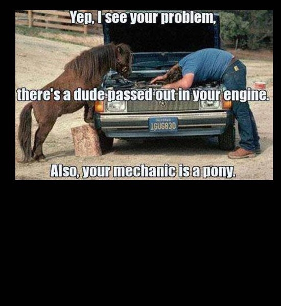 Pony Mechanic 
