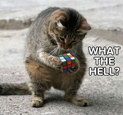 Rubik Cube? What? 