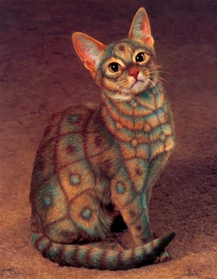 Catpainting: a new Animal's Art Style