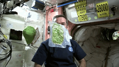 12 Things You Didn't Know About Living In Space 